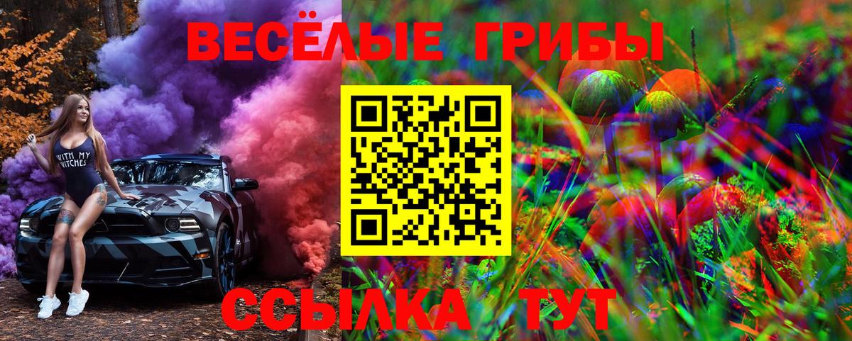 Дубна  Галлюциногенные грибы GOLDEN TEACHER  Вход с VPN 